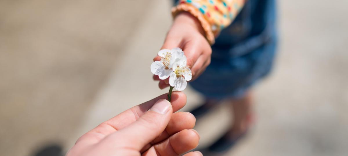 wat zijn aanbiedingen in inbound marketing?