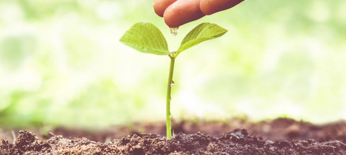 Lead Nurture