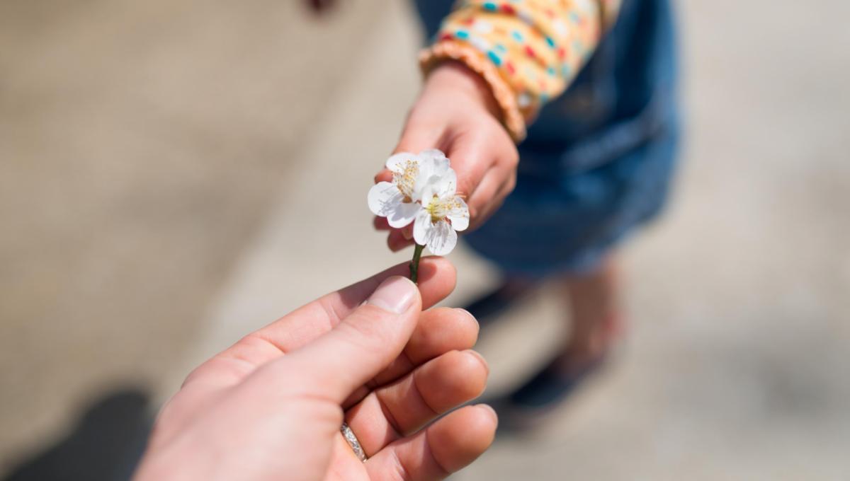 wat zijn aanbiedingen in inbound marketing?