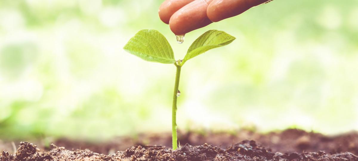 Lead Nurture