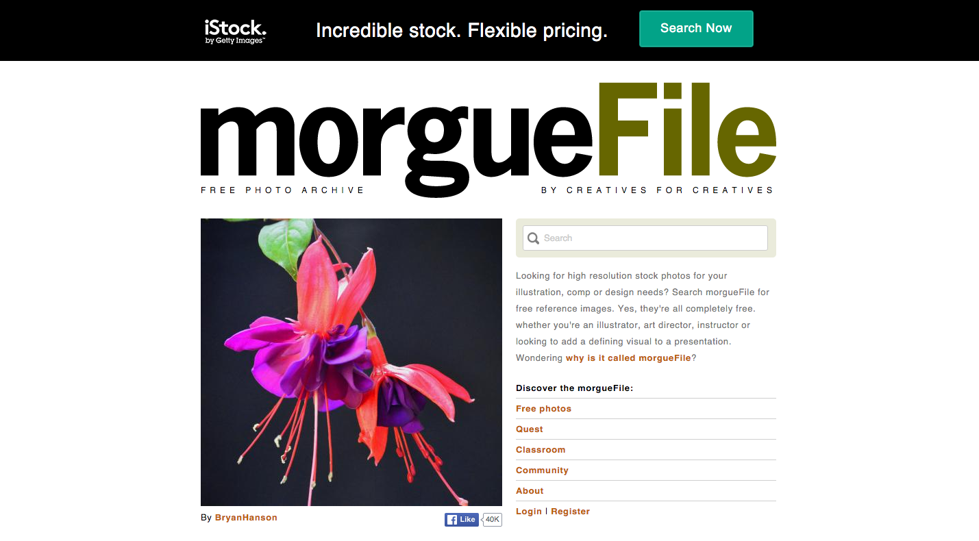 Morguefile_Gratis_Afbeeldingen